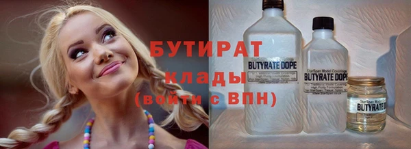 сатива Няндома