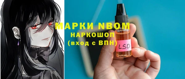 сатива Няндома