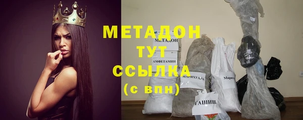 сатива Няндома