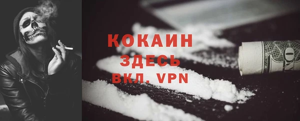 сатива Няндома
