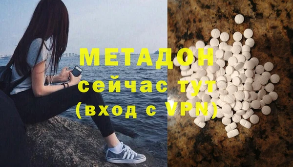 сатива Няндома