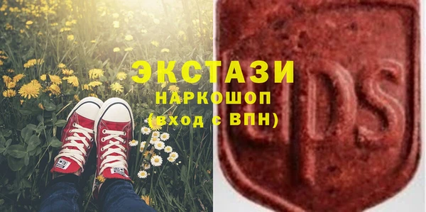 сатива Няндома