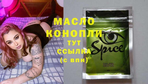 сатива Няндома