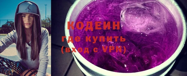 сатива Няндома