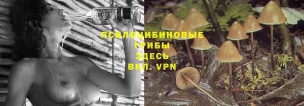 сатива Няндома