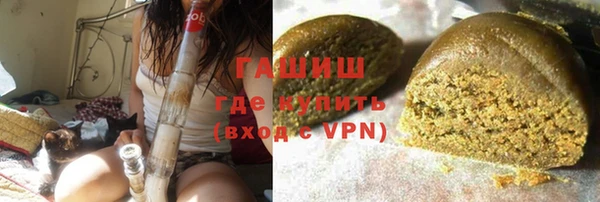 сатива Няндома