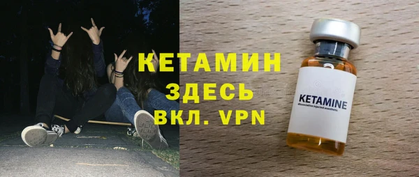 сатива Няндома